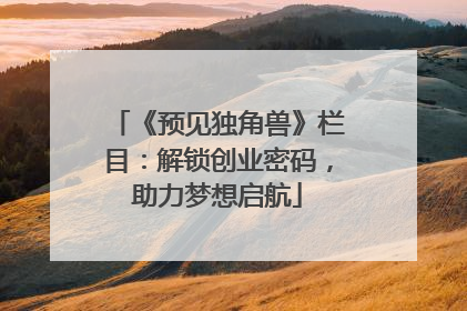 《预见独角兽》栏目：解锁创业密码，助力梦想启航