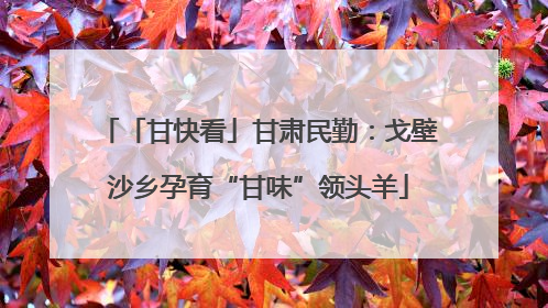 「甘快看」甘肃民勤：戈壁沙乡孕育“甘味”领头羊