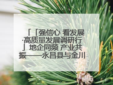 「强信心 看发展·高质量发展调研行」地企同频 产业共振——永昌县与金川集团地企融合推动重大项目建设