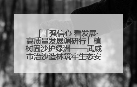 「强信心 看发展·高质量发展调研行」植树固沙护绿洲——武威市治沙造林筑牢生态安全屏障见闻