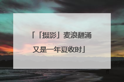 「摄影」麦浪翻涌 又是一年夏收时
