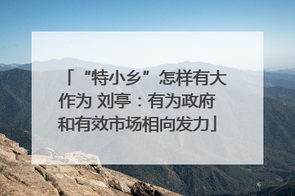 “特小乡”怎样有大作为 刘亭：有为政府和有效市场相向发力