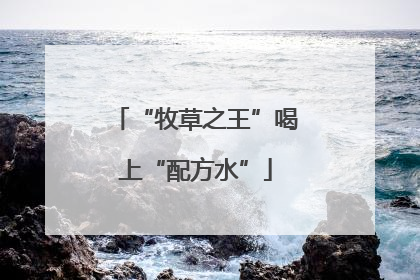 “牧草之王”喝上“配方水”