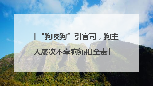 “狗咬狗”引官司，狗主人屡次不牵狗绳担全责