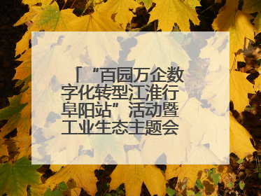 “百园万企数字化转型江淮行阜阳站”活动暨工业生态主题会议成功举办