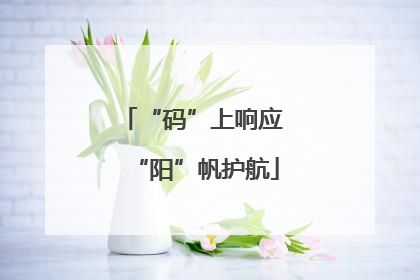 “码”上响应 “阳”帆护航