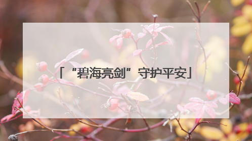 “碧海亮剑”守护平安