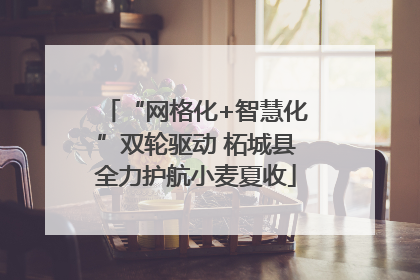 “网格化+智慧化”双轮驱动 柘城县全力护航小麦夏收