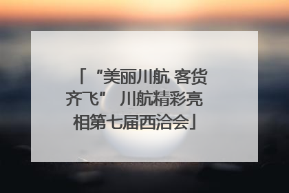 “美丽川航 客货齐飞” 川航精彩亮相第七届西洽会