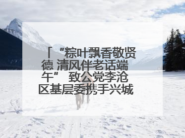 “粽叶飘香敬贤德 清风伴老话端午” 致公党李沧区基层委携手兴城路街道四流北路社区开展端午节主题活动