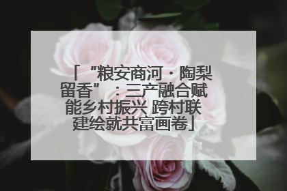 “粮安商河・陶梨留香”：三产融合赋能乡村振兴 跨村联建绘就共富画卷