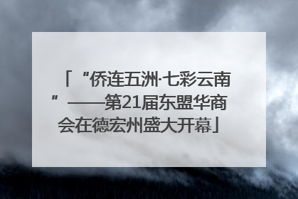 “侨连五洲·七彩云南”——第21届东盟华商会在德宏州盛大开幕