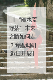 “丽水荒野茶”未来之路如何走？专题调研近日开展