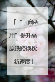 “一窗两用”提升高原铁路换枕新速度