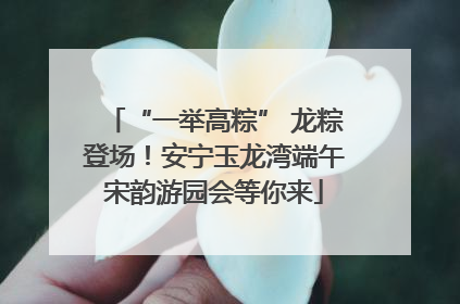 “一举高粽” 龙粽登场！安宁玉龙湾端午宋韵游园会等你来