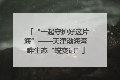 “一起守护好这片海”——天津渤海湾畔生态“蜕变记”