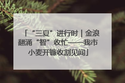 “三夏”进行时｜金浪翻涌“智”收忙——我市小麦开镰收割见闻