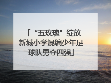 “五玫瑰”绽放 新城小学混编少年足球队勇夺四强