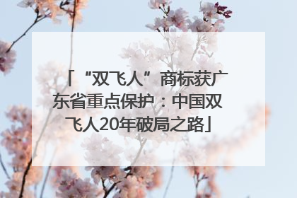“双飞人”商标获广东省重点保护：中国双飞人20年破局之路