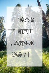 “凉茶老三”和其正，靠养生水逆袭？