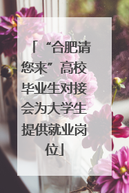 “合肥请您来”高校毕业生对接会为大学生提供就业岗位