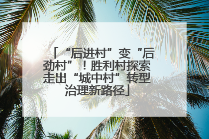 “后进村”变“后劲村”！胜利村探索走出“城中村”转型治理新路径