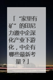 “家里有矿”的印尼力邀中企深化产业下游化，中企有哪些最新考量？