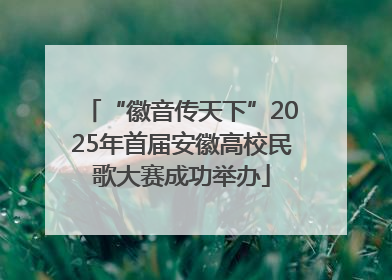 “徽音传天下”2025年首届安徽高校民歌大赛成功举办