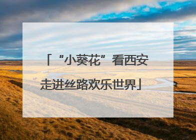 “小葵花”看西安走进丝路欢乐世界