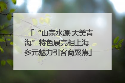 “山宗水源·大美青海”特色展亮相上海 多元魅力引客商聚焦