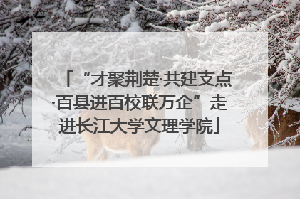 “才聚荆楚·共建支点·百县进百校联万企”走进长江大学文理学院