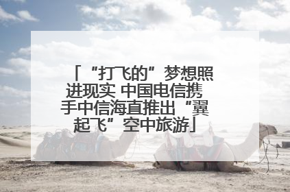 “打飞的”梦想照进现实 中国电信携手中信海直推出“翼起飞”空中旅游