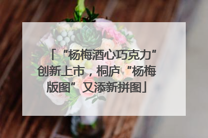 “杨梅酒心巧克力”创新上市，桐庐“杨梅版图”又添新拼图
