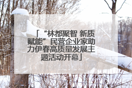 “林都聚智 新质赋能”民营企业家助力伊春高质量发展主题活动开幕
