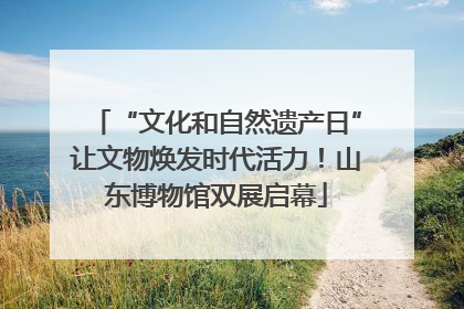 “文化和自然遗产日”让文物焕发时代活力！山东博物馆双展启幕