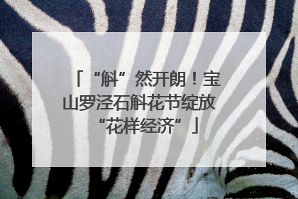 “斛”然开朗！宝山罗泾石斛花节绽放“花样经济”