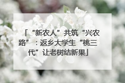 “新农人”共筑“兴农路”：返乡大学生“桃三代”让老树结新果