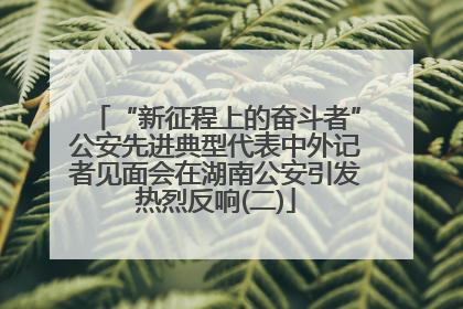 “新征程上的奋斗者”公安先进典型代表中外记者见面会在湖南公安引发热烈反响(二)