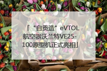“自贡造”eVTOL航空器沃兰特VE25-100原型机正式亮相