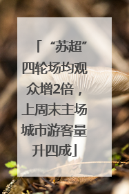 “苏超”四轮场均观众增2倍，上周末主场城市游客量升四成