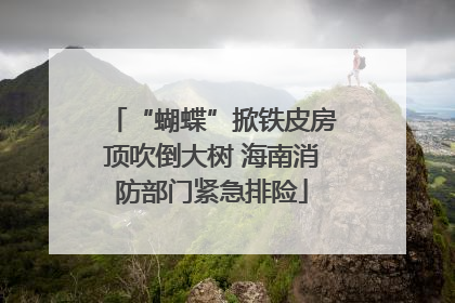 “蝴蝶”掀铁皮房顶吹倒大树 海南消防部门紧急排险