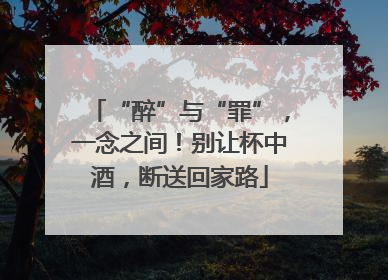 “醉”与“罪”，一念之间！别让杯中酒，断送回家路