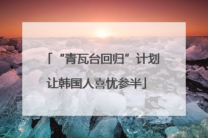 “青瓦台回归”计划让韩国人喜忧参半