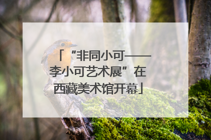 “非同小可——李小可艺术展”在西藏美术馆开幕