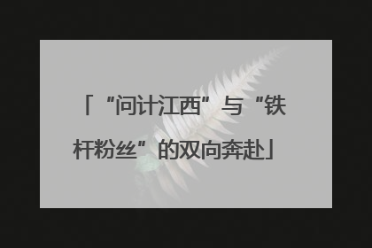 “问计江西”与“铁杆粉丝”的双向奔赴
