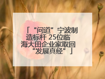 “问道”宁波制造标杆 25位临海大田企业家取回“发展真经”