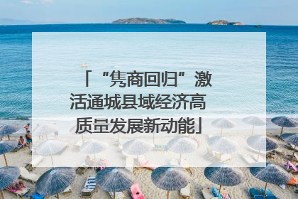 “隽商回归”激活通城县域经济高质量发展新动能