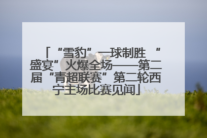 “雪豹”一球制胜 “盛宴”火爆全场——第二届“青超联赛”第二轮西宁主场比赛见闻