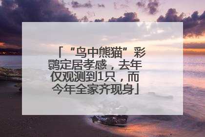 “鸟中熊猫”彩鹮定居孝感，去年仅观测到1只，而今年全家齐现身