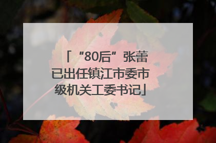 “80后”张蕾已出任镇江市委市级机关工委书记